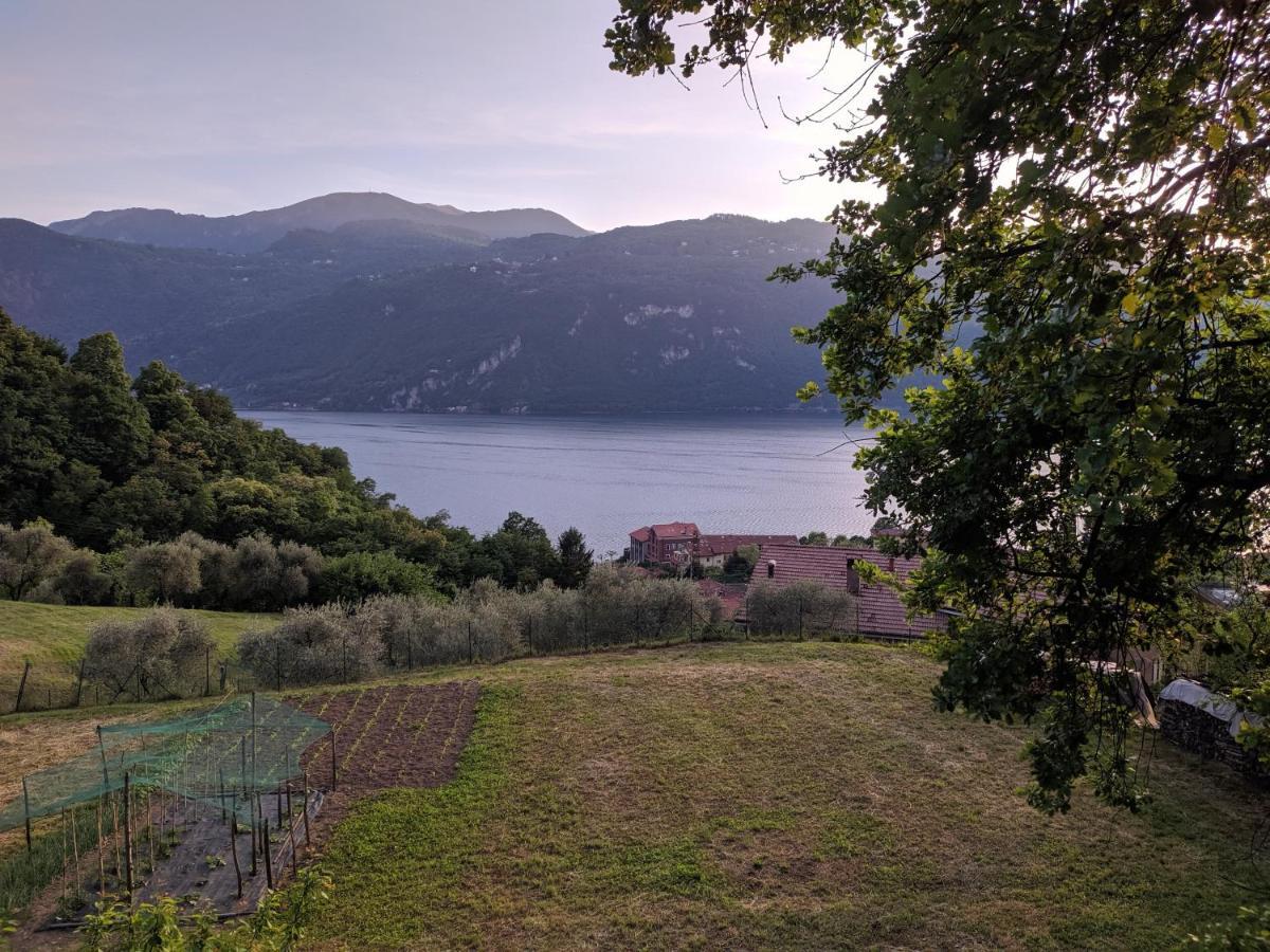 La Casetta Nel Bosco - Hot Tube And Sauna Lierna Zewnętrze zdjęcie